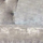 Modena Calico