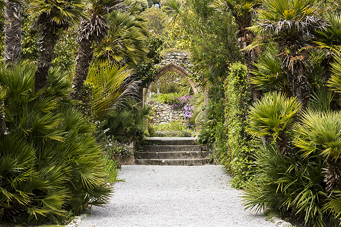 Tresco Abbey Garden 