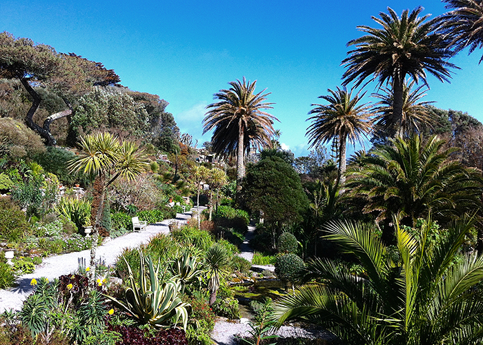 Tresco Abbey Garden 