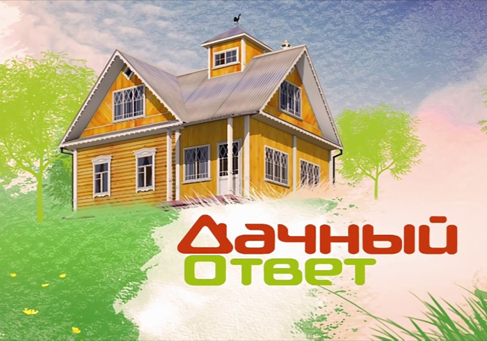 Дачный ответ Дачный ответ