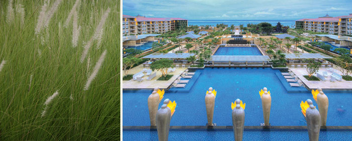 Отель The Mulia, Mulia Resort, Mulia Villas (Нуса-Дуа, Бали)