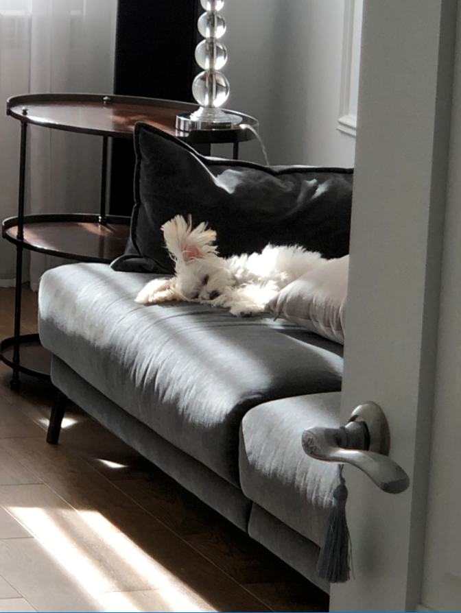 Конкурс "Любимый питомец в интерьере Fabian Smith"