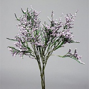 Каспия лавандовая