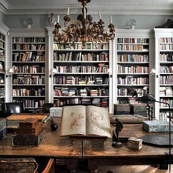 Книжные полки в классическом интерьере